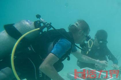 深圳自由潜水课程内容有哪些？