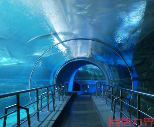 香港海底隧道怎么观光？