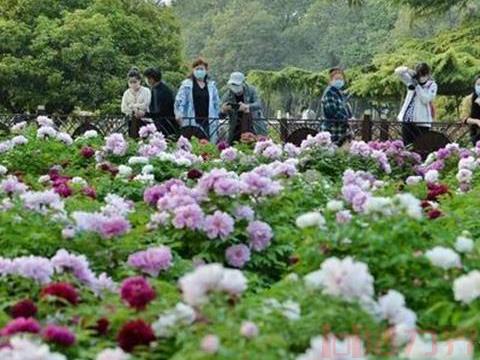 昆明百花公园在哪里 需要门票吗