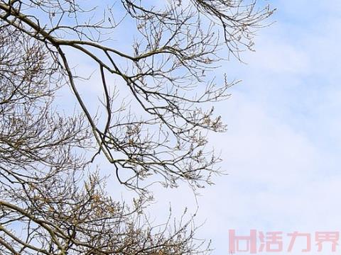 2020无锡文化旅游惠民周信息汇总 持续5月19日至5月25日