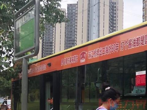 重庆6条都市观光线路载你赏花 开往春天的公交车来了