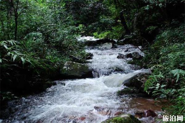 大叠水瀑布景区介绍 露营-探险攻略