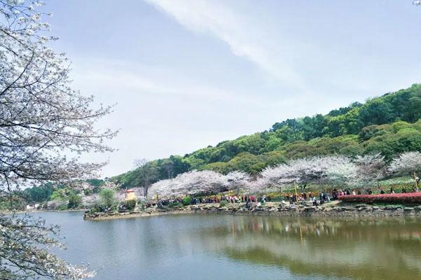 湖南省森林植物园游玩攻略 附景点介绍