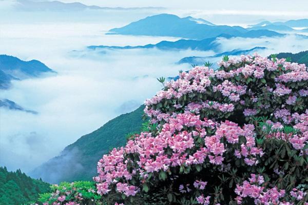 浙江天台山自驾一日游攻略