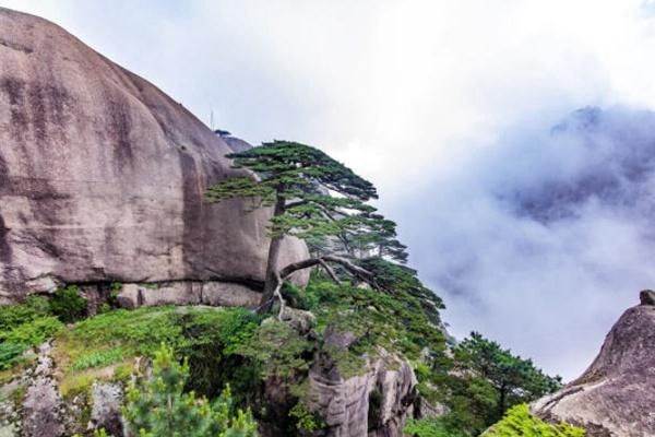 黄山旅游攻略三日游自由行攻略