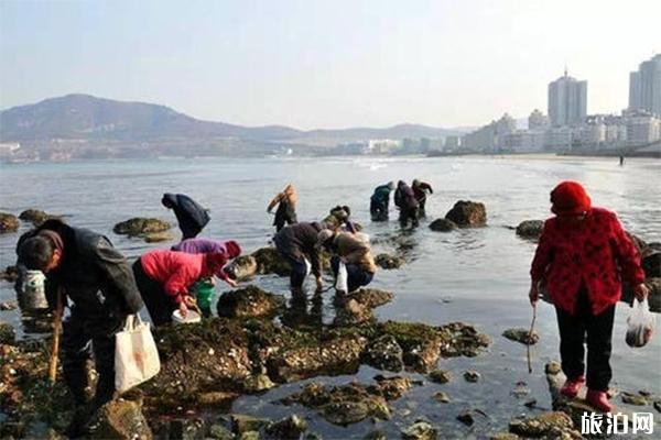 威海荣成新汽车站浅滩赶海怎么收费