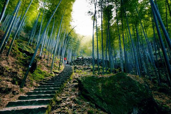 宜兴竹海风景区在哪里 具体地址及交通指南