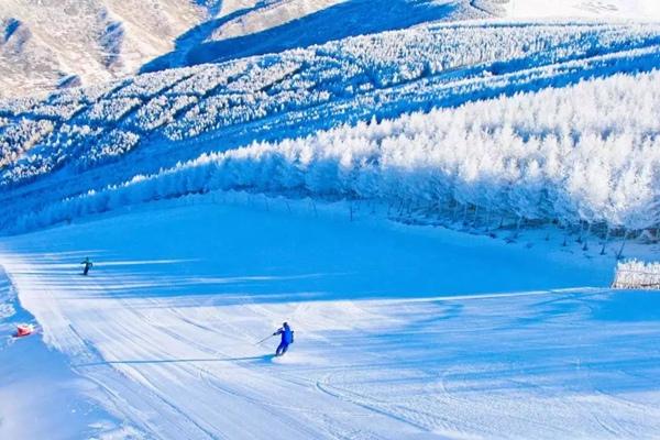 武汉有滑雪场地吗 市内、周边有多种选择