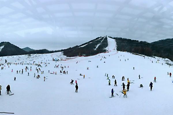 湖北哪里滑雪场比较好 神农架实至名归其它地方也不差