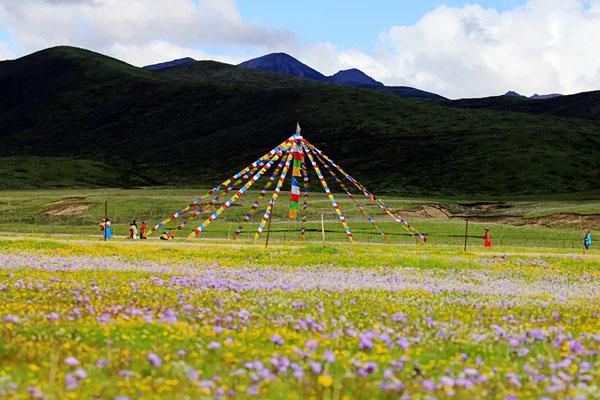 若尔盖花湖最佳旅游时间 附门票价格