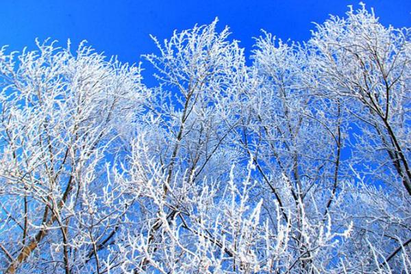 12月雪景最好看的地方 12月的能欣赏到雪景的最佳旅行地