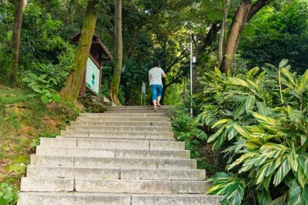 深圳凤凰山可以开车上山顶吗