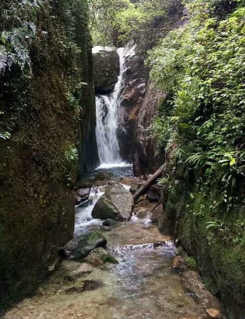 韶关南岭和云门寺旅游攻略