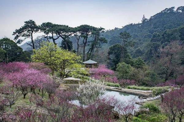 2021福州鼓山风景区门票多少钱 福州鼓山登山线路推荐