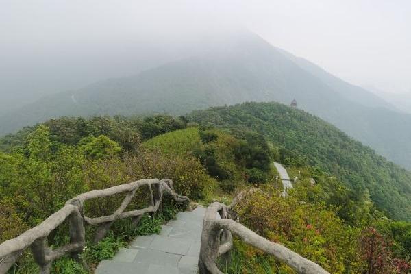 深圳爬山有哪些地方 徒步旅游爬山攻略