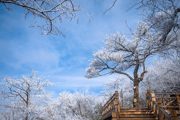 浙江有哪些滑雪场 离杭州最近的滑雪场是哪个