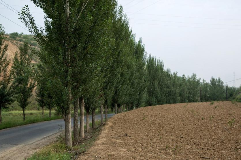 红崖沟大峡谷好玩吗 红崖沟大峡谷穿越最佳路线