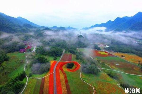 巫溪红池坝景区介绍 可以开车进去吗