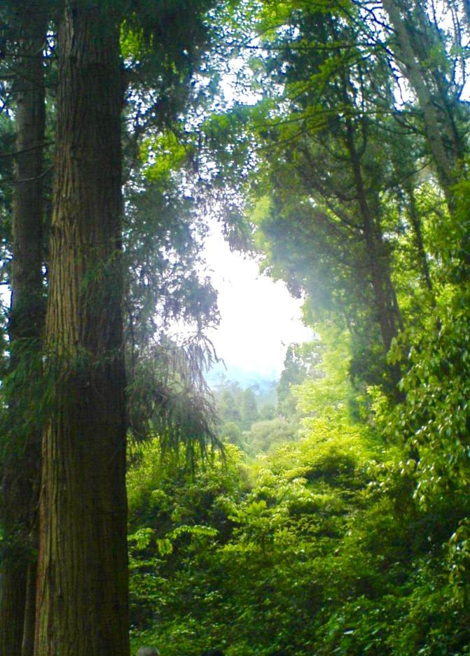 雁荡山有哪些景点 雁荡山有玻璃栈道吗