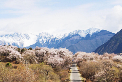 林芝县为什么取名叫巴宜区 从拉萨怎么去林芝 去林芝旅游哪些景点必去