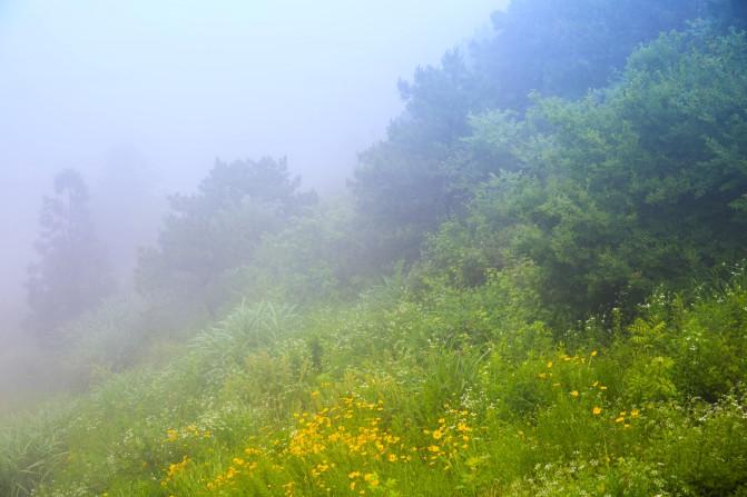 上饶有哪些旅游景点 上饶有哪些寺庙