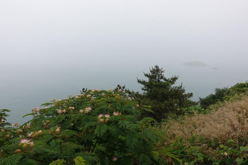 灵山岛好玩吗_灵山岛风景区好玩吗