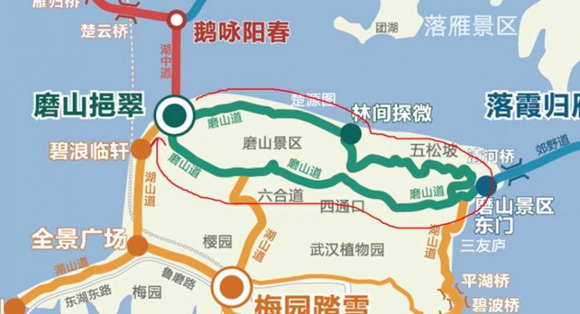 武汉东湖绿道线路图 这份高清路线图值得收藏