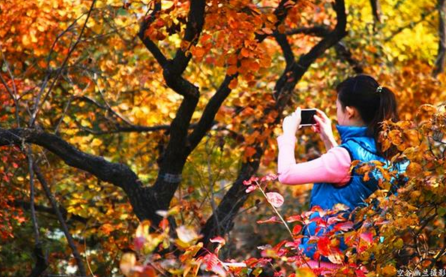 香山公园什么时候去最好  香山公园门票是多少