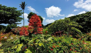 度蜜月去国外哪里好 度蜜月旅行地最佳排行榜