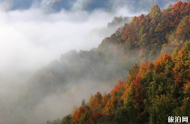 9月份适合去哪里旅行