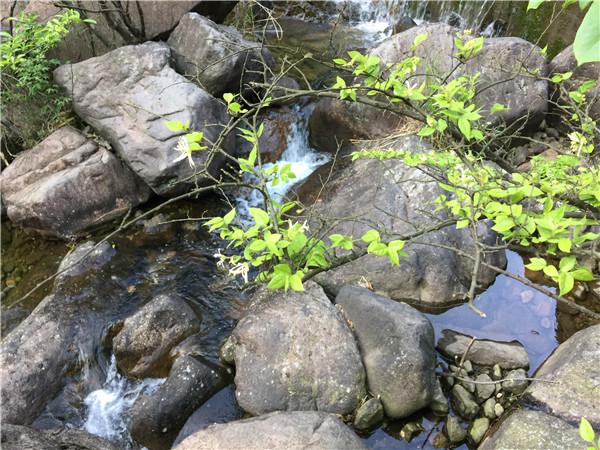 桐庐大奇山好玩吗 桐庐大奇山门票多少钱