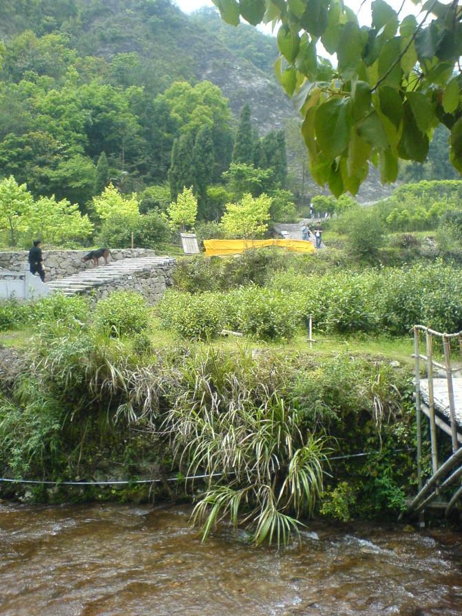 雁荡山有哪些景点 雁荡山有玻璃栈道吗