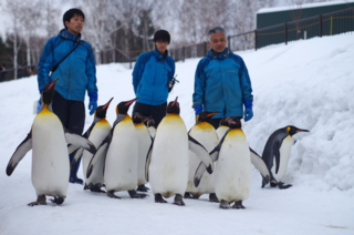 北海道6日游旅游攻略2017