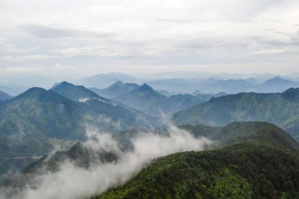 庆元有什么好玩的景点 百山祖海拔多少米