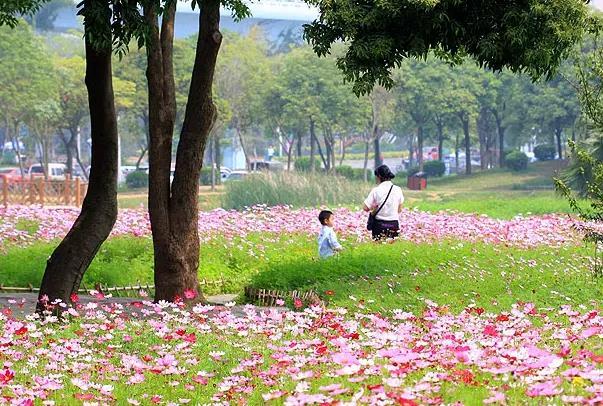 厦门四月赏花去处 有哪些可以看花的地方