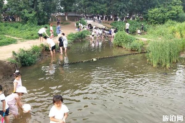 北京沙河水库钓鱼指南