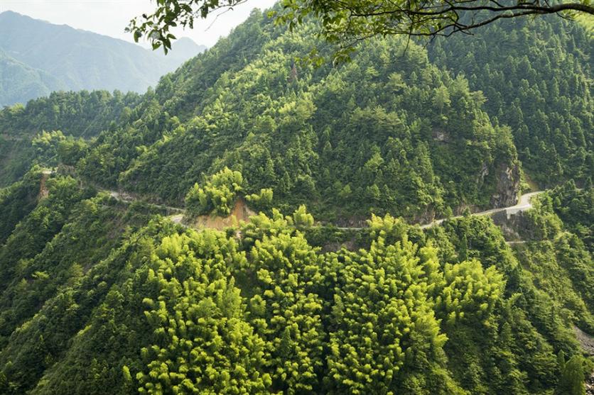 景宁有什么旅游景点 景宁自驾游攻略