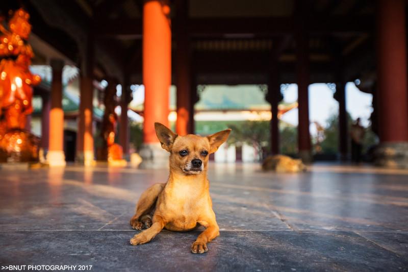 越南有什么好玩的 去越南旅游要多少钱