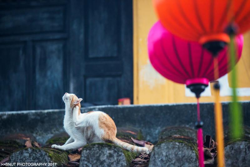 越南有什么好玩的 去越南旅游要多少钱