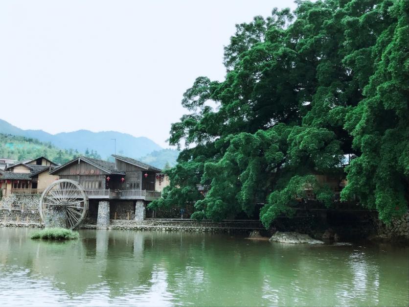 去厦门住哪里比较方便 厦门什么时候去最好