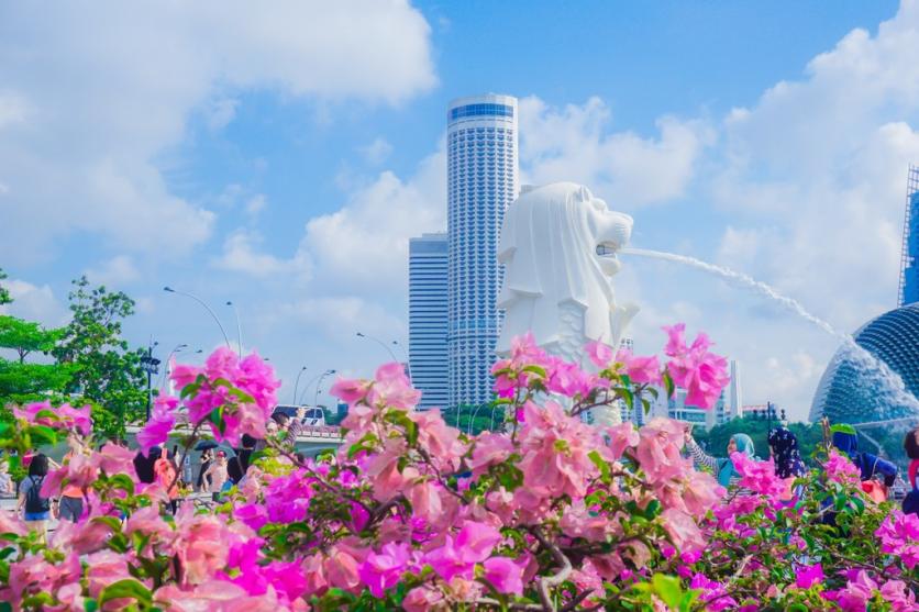 新加坡旅游注意事项 新加坡旅游必去的地方