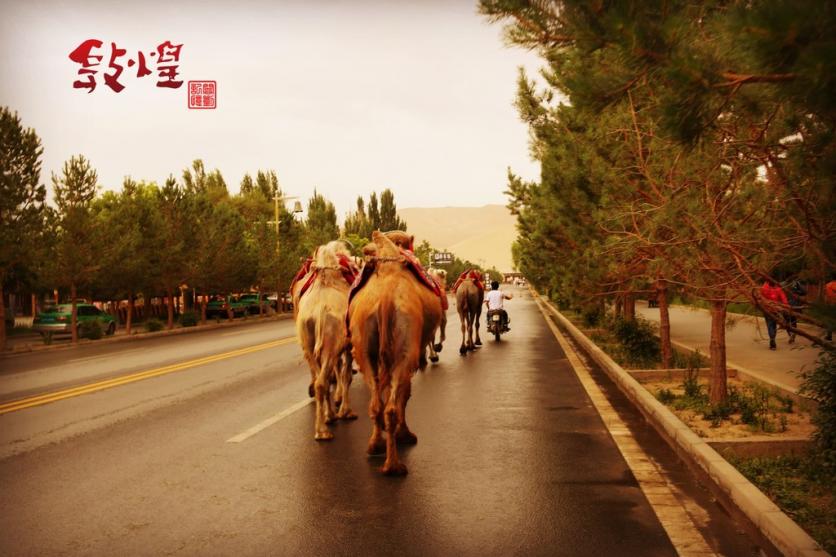 敦煌有哪些旅游景点  敦煌旅游景点门票价格