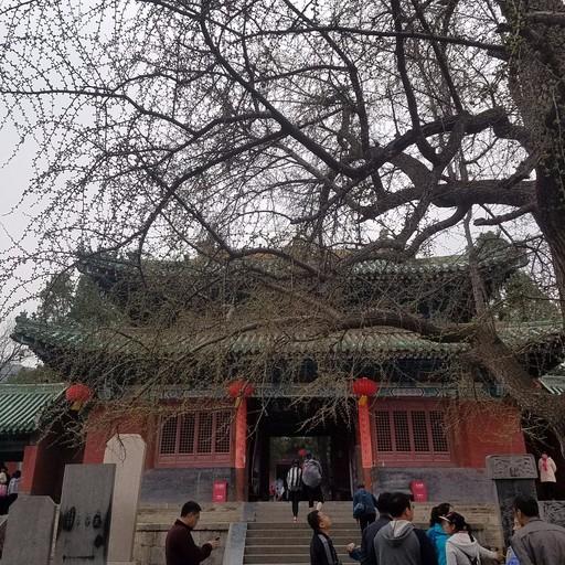 洛阳有哪些景点 洛阳必须去的旅游景点