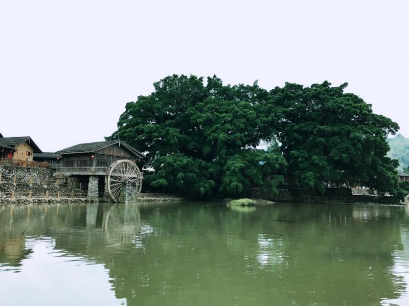 去厦门住哪里比较方便 厦门什么时候去最好