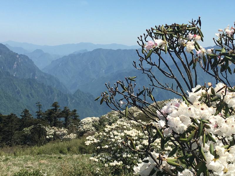 神农架有什么好玩的地方 神农架有野人吗