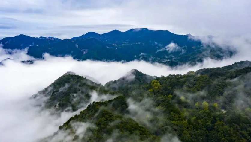 江西最值得踏青的景区推荐