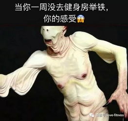 叫我肌肉美男
