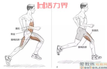 跑者高手绝招——送髋