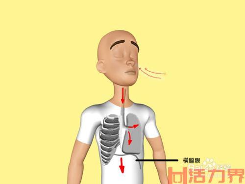 网球运动如何预防关节扭伤？