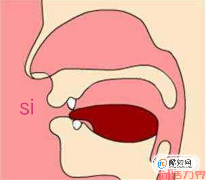 坚持经常散步的好处有哪些？